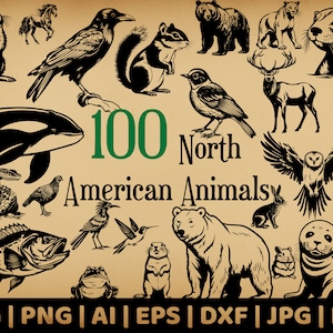100 animaux d'Amérique du Nord | Forêts, montagne, faune aquatique | Vectoriels à usage commercial | Svg, png, Dxf, Eps, Pdf, Ai, Jpg |