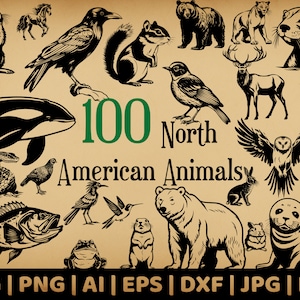 100 North American Animal Bundle | Woodland, Mountain, Aquatic Fauna | Commercial Use Vector Graphics | Svg, Png, Dxf, Eps, Pdf, Ai, Jpg |