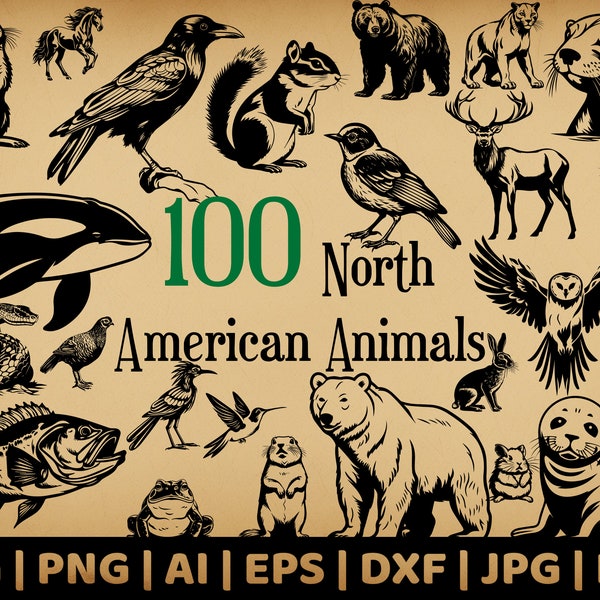 100 North American Animal Bundle | Woodland, Mountain, Aquatic Fauna | Commercial Use Vector Graphics | Svg, Png, Dxf, Eps, Pdf, Ai, Jpg |