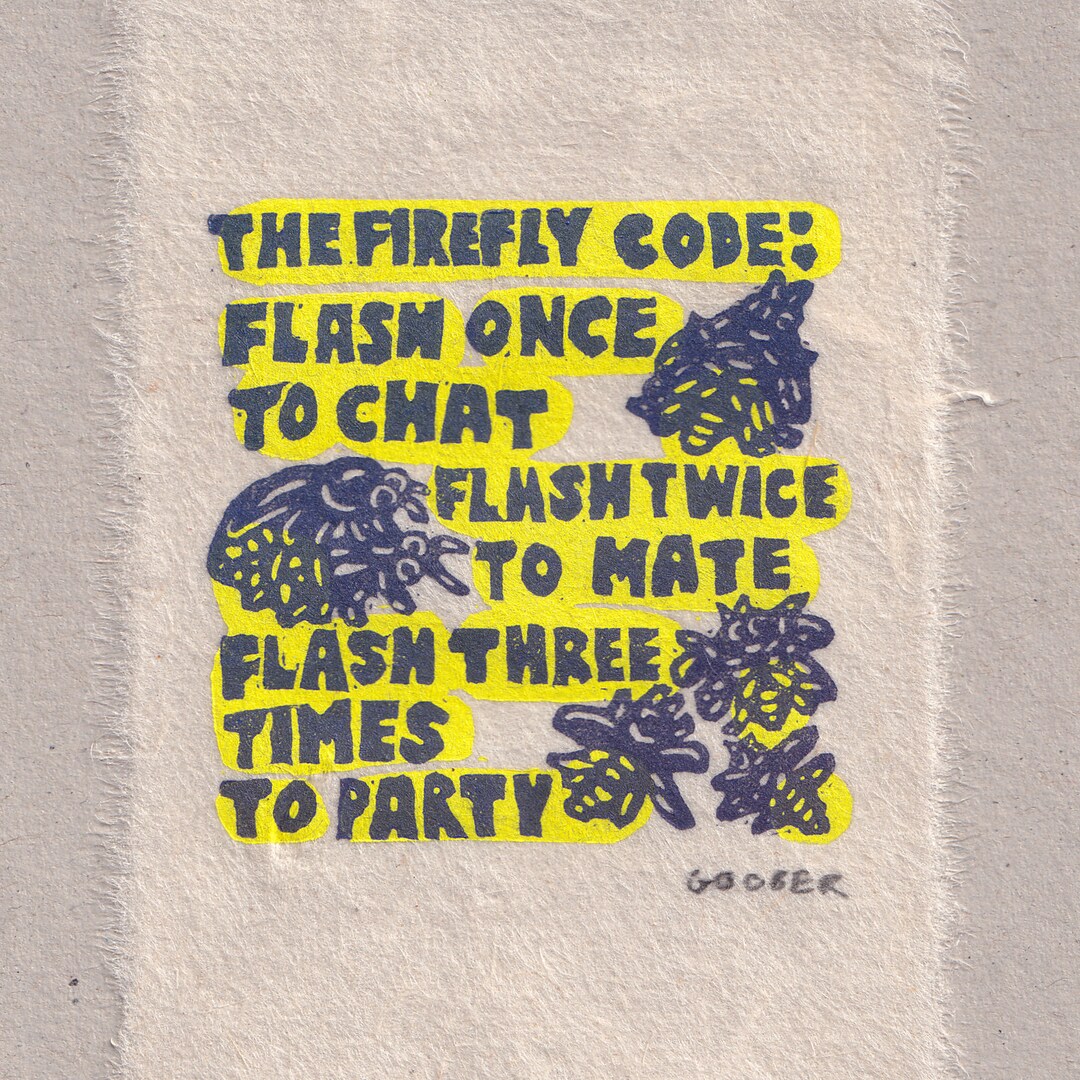 Fireflies - the Firefly Code - (6.5cm X 9.25cm) (3 3/4 X 2 1/2 INCHES ...