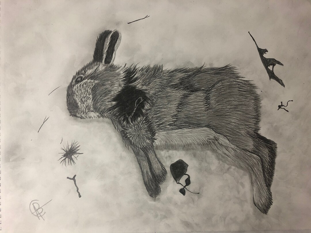 The Tragic Rabbit - Etsy