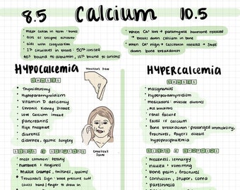 Electrolytes Nursing Notes: Colorful Study Guide (PDF Digital Download)