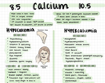 ELECTROLYTES Nursing Notes PDF Digital Download, NCLEX; Colorful Handwritten Study Notes with Pictures; College, Medical, Health Assessment