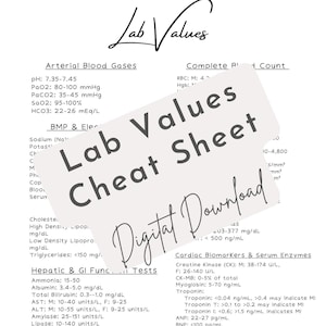 May include: A white sheet with black text titled "Lab Values" and "Cheat Sheet Digital Download." The sheet lists normal ranges for arterial blood gases, complete blood count, and other blood tests.