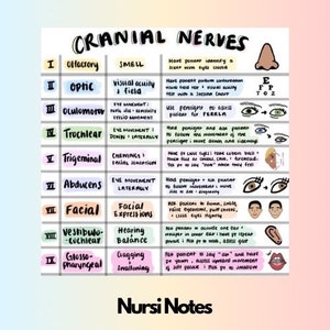 Peut inclure: Un tableau coloré listant les 12 nerfs crâniens, leurs fonctions et comment les tester. Le tableau comprend des illustrations des yeux, des oreilles et de la bouche.
