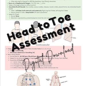May include: A medical illustration showing the locations for taking vital signs, including pulse points, heart sounds, and lung sounds. The illustration includes a diagram of the human body with labels for the different areas to be assessed. The text "Head to Toe Assessment" is written in large letters across the top of the image.