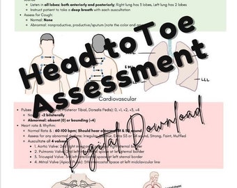 Head to Toe Assessment with ADDED PICTURES ; Colorful with Hand Drawn Pictures; For Nursing Students, New Grad RN. Digital Print