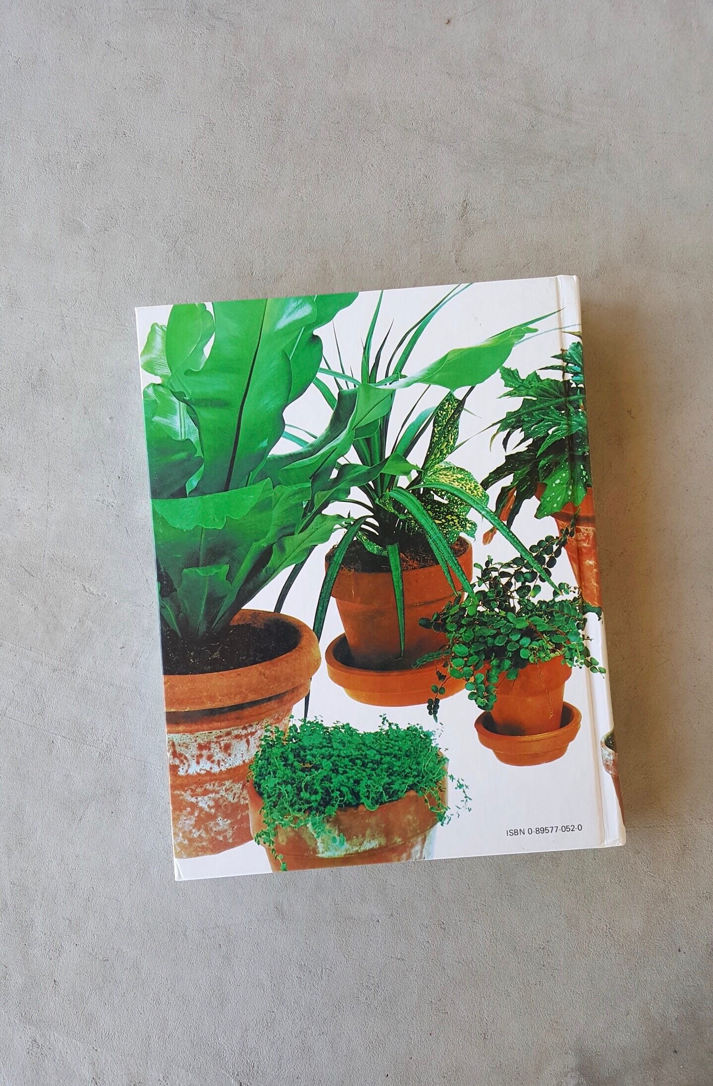 Vintage Success With Houseplants Readers Digest Book Plant Etsy