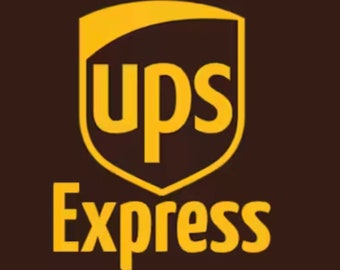 UPS Express, schneller Versand aus der Türkei