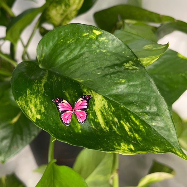 Colorful Butterfly Plant Safe Magnet for Leafy Plant Lovers. Unique Gift!!