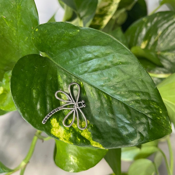 Dragonfly Plant Safe Magnets for Leafy Plant Lovers. Unique Gift!!