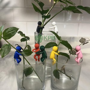 Propagation Buddy | Plant Cutting Stabilizer | Increase Root Growth | Whimsical & Unique Decor for Leafy Lovers