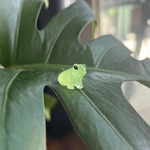 May include: A small, green glass frog figurine with black eyes. The frog is sitting on a large green leaf.