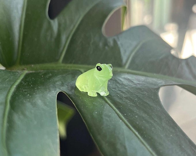 Glow in the Dark Frog Plant Pal | Plant Safe Decor for Foliage Lovers | Rests on Leaf | Stocking Stuffer | Indoor and Terrarium Décor