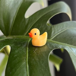 Yellow Duck Plant Pal | Safe Decor for Foliage Lovers | Rests on Leaf | Stocking Stuffer | Indoor and Terrarium Décor