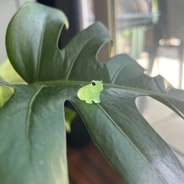 Mini Glow in the Dark Frog Plant Safe Magnet for Leafy Plant Lovers. Unique Gift!!