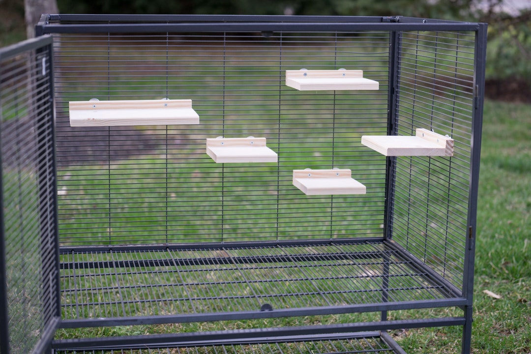 Chinchilla Pine Ledge With Poop Guard Kiln Dried Individual Ledge Etsy