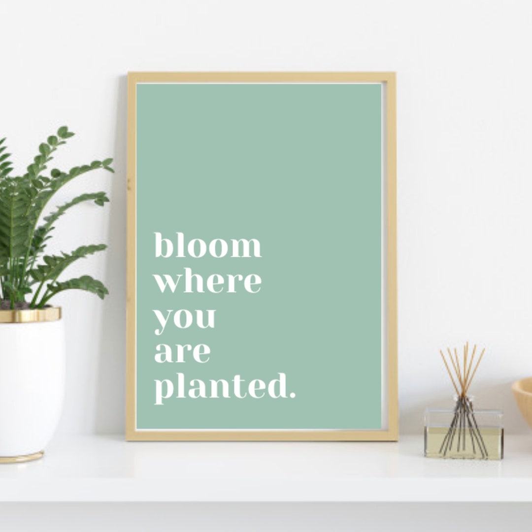 Blüte, wo du gepflanzt bist Leben Zitat Leben Wandkunst Wohnzimmer