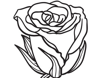 rose coloring page etsy