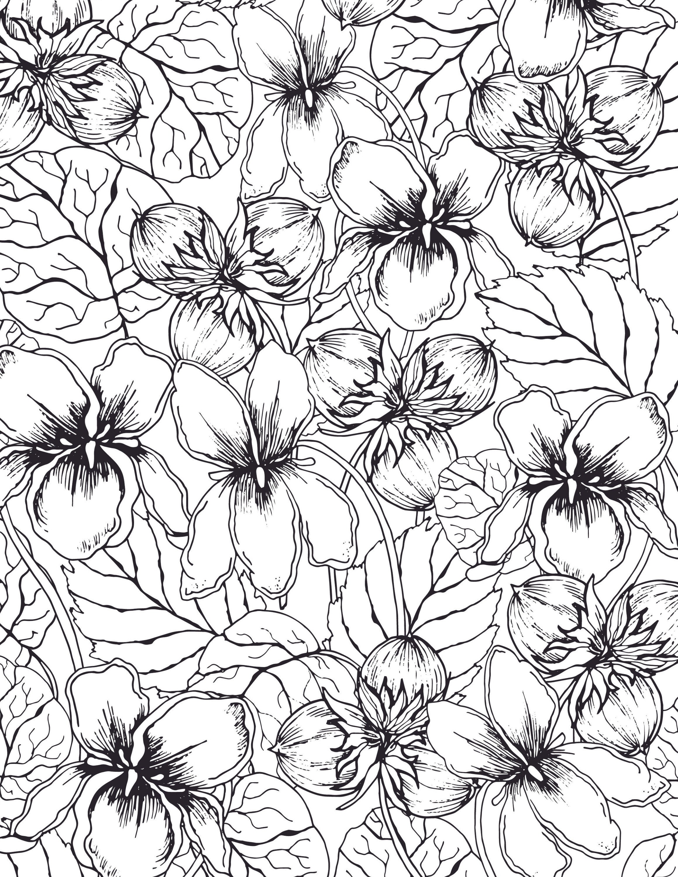 Coloring Page Violets | Etsy