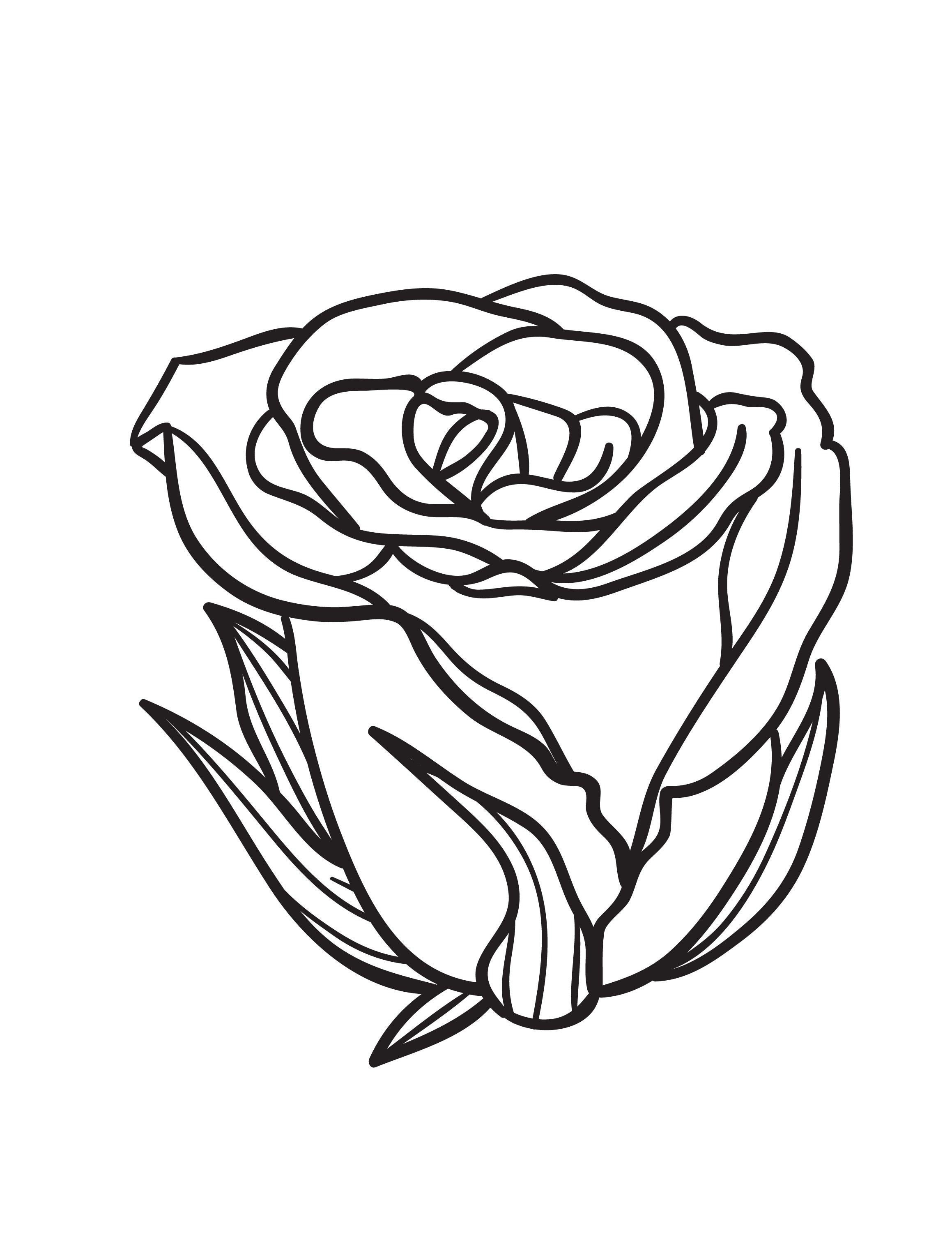 Rose Flower Adult Coloring Page | Etsy