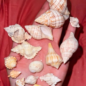 May include: A white ceramic mug with a black handle and the text "But First, Coffee" in a handwritten style. The mug is on a white surface. The mug is likely for hot beverages.