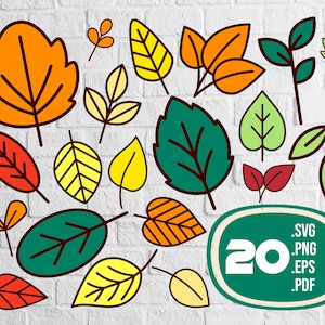 Colored leaves svg,Tropical Leaves Svg Bundle, Tropical Leaf Svg, Palm Leaves Svg, Jungle Leaves Svg, Monstera Svg, Tropical Svg,svg file