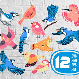 Aves lindas svg, aves lindas svg, aves divertidas, arte de aves, pájaro de dibujos animados, imágenes prediseñadas de aves lindas, vector de dibujos animados de aves, archivo de aves, archivo de impresión, imprimible, svg