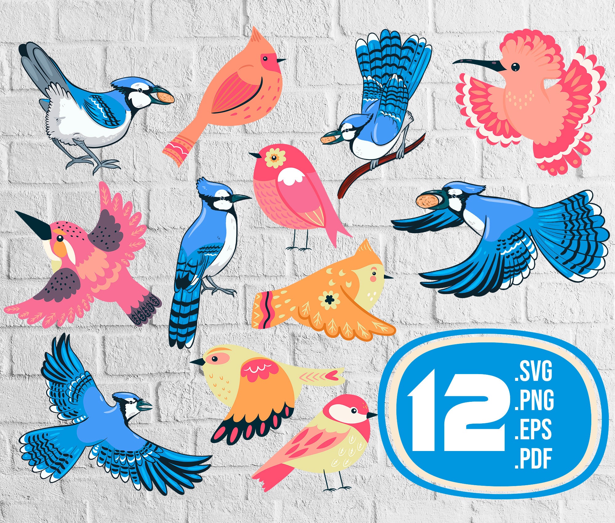 Cute Birds Svg,cute Birds Svg,funny Birds, Birds Art, Cartoon Bird