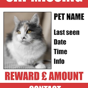 May include: A lost cat missing poster featuring a photo of a white and grey cat with yellow eyes. The poster includes the text "CAT MISSING", "PET NAME", "Last seen", "Date", "Time", "Info", "REWARD & AMOUNT", "CONTACT", and "Tel: 0000 000000".