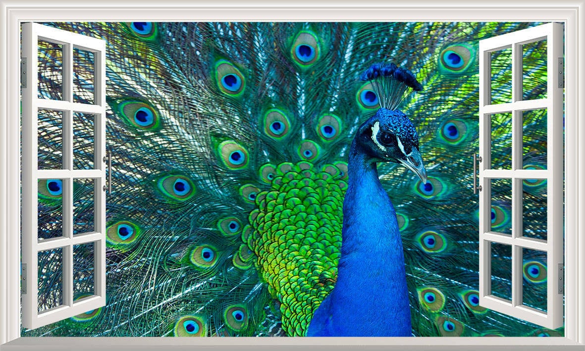 Animal Peacock Beautiful Colour Magic Window Wall Art Self Adhesive ...