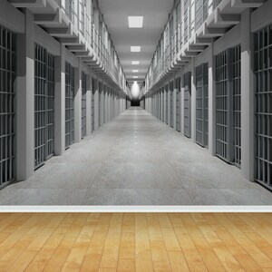 Peut inclure: Un long couloir étroit avec des portes de cellules à barreaux de chaque côté. Le couloir est éclairé par des lumières au plafond et mène à une extrémité sombre et lointaine.