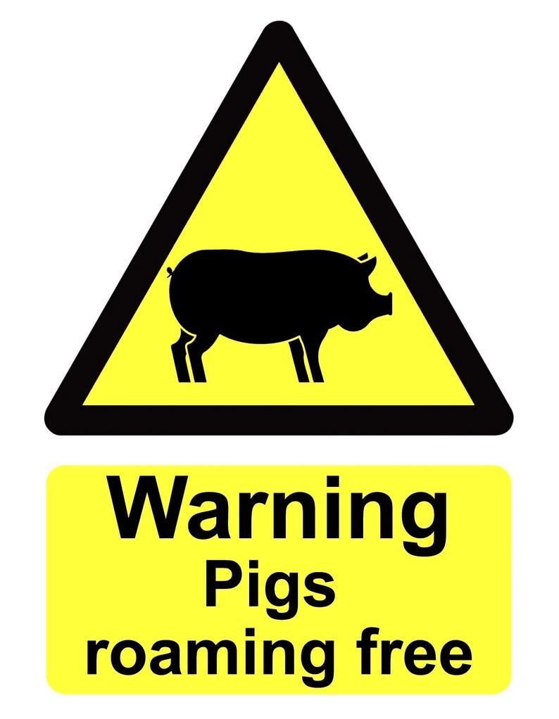 Pigs Warning Sign Warning Pigs Roaming Free Farm Field External Grade Yellow Safety Sign ...
