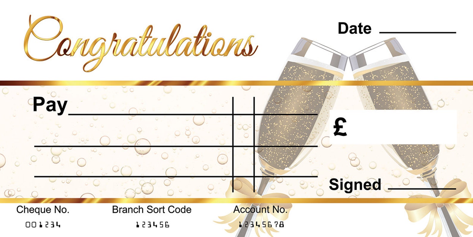 Large Giant BLANK Cheque Congratulations Gift of Money Present Reusable ...