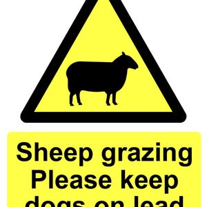 Grazende schapen Houd honden aan de lijn Geel Gezondheids- en veiligheidswaarschuwingsbord Sticker bewegwijzering stickerbord 160 mm x 125 mm