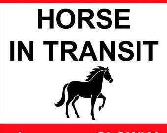 Adesivi Vinilici Per Rimorchi Cavalli (Horsebox) – Scritte E Grafiche Per Lati E Rampa Posteriore