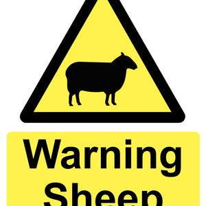 Warning Sheep Yellow Health & Safety Warning Notice Sign Sticker Signage Decal Sign 160mm x125mm