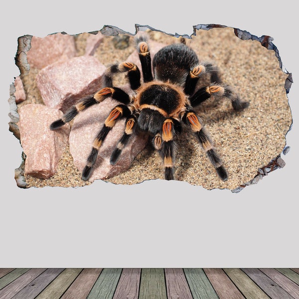 Large Spider Wall Decals - Etsy