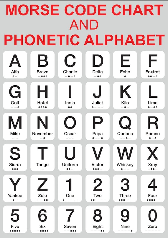 IPA Consonants ESL Phonics Poster, Classroom Anchor Chart