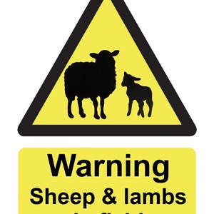 Warning Sheep & Lambs in Field Farmer Land Owner Warning Notice Sign Self Adhesive Sticker Decal 160mm x 125mm