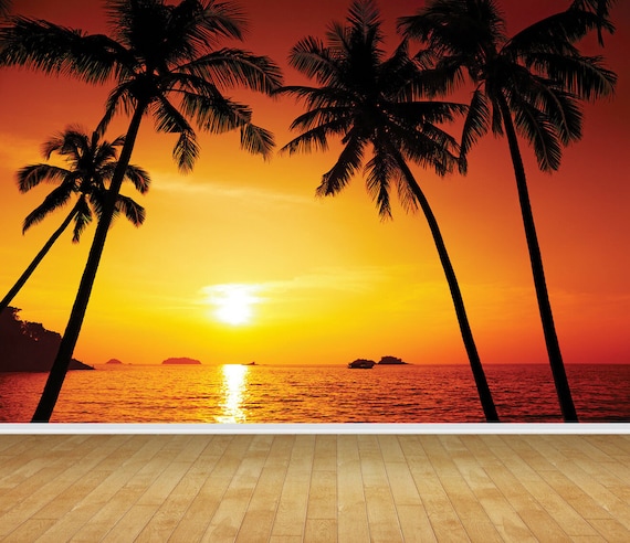 tropical sunset wallpaper