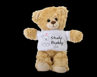 Teddy bear with shirt, Comfort Bear, Plush teddy bear, Graduation, Exams gift, Cute, gift, Christmas, Birthday, Dorm decor, Back to school
