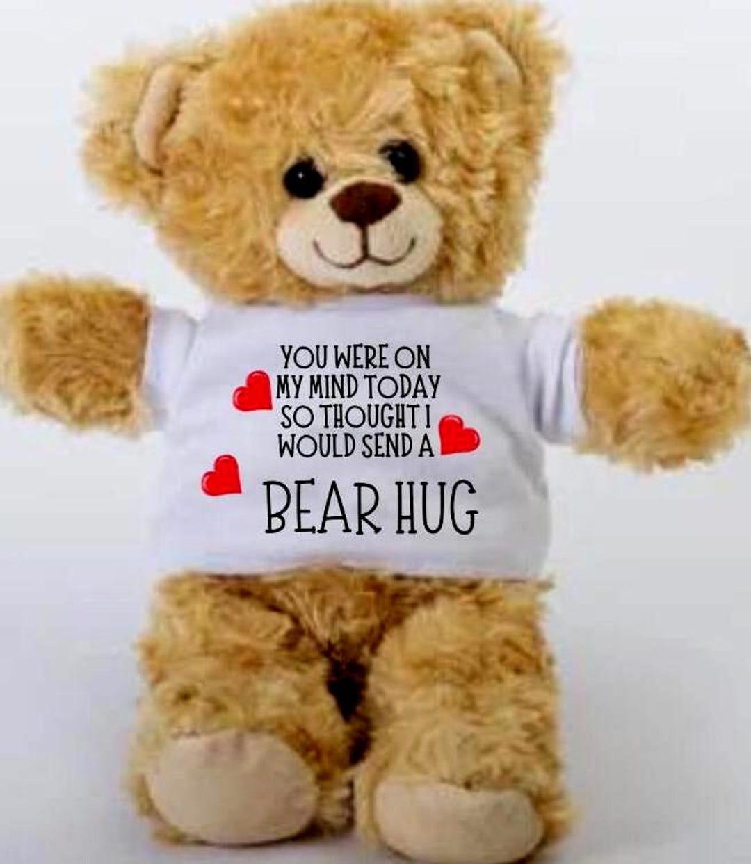 Bear Hug, Cute Teddy Bear, Sending a Hug Gift, Christmas, Birthday