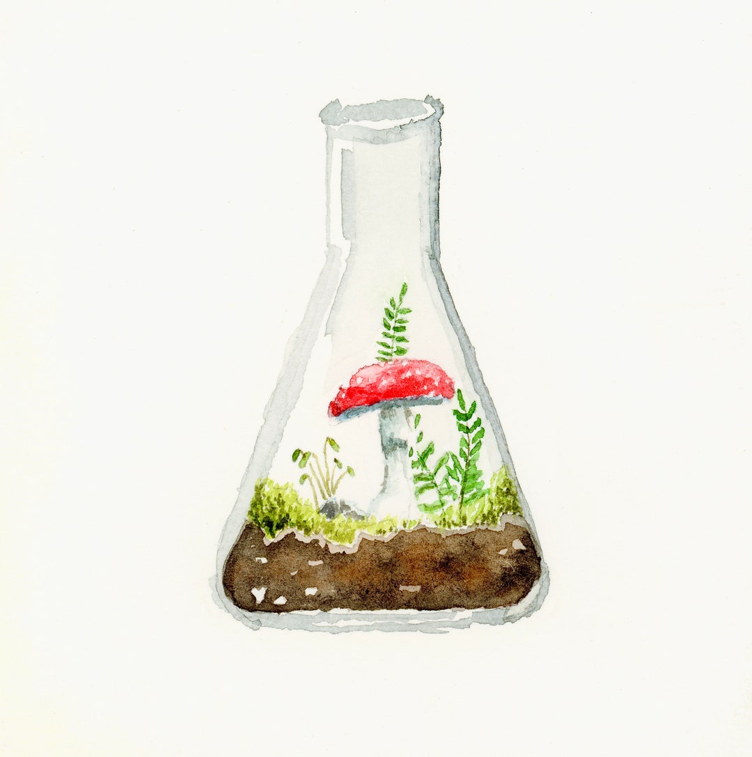 Beaker Terrarium Diecut Sticker Etsy