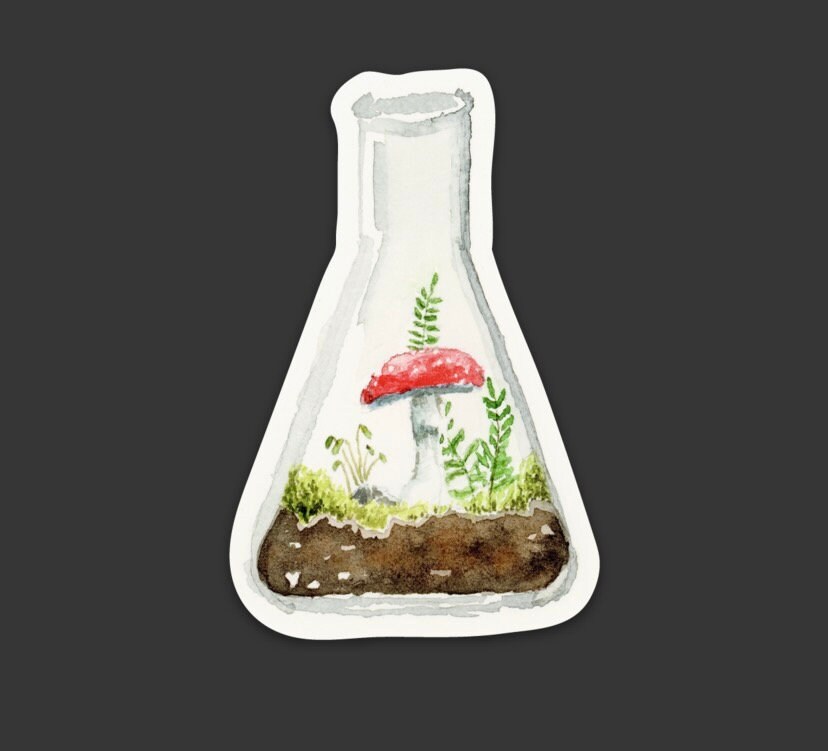Beaker Terrarium Diecut Sticker Etsy
