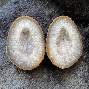 May include: Two halves of a geode with a white, crystal-lined interior and a brown, banded exterior.