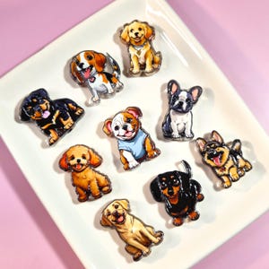 May include: A collection of nine individual dog-shaped acrylic pins featuring various breeds including a golden retriever, beagle, rottweiler, french bulldog, bulldog in a blue shirt, poodle, german shepherd, dachshund, and labrador retriever.