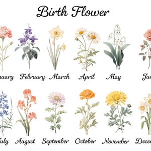 May include: A botanical illustration featuring twelve different birth flowers, each representing a month of the year. The flowers are depicted in watercolor style, with the month's name written below each flower. The text "Birth Flower" is at the top.