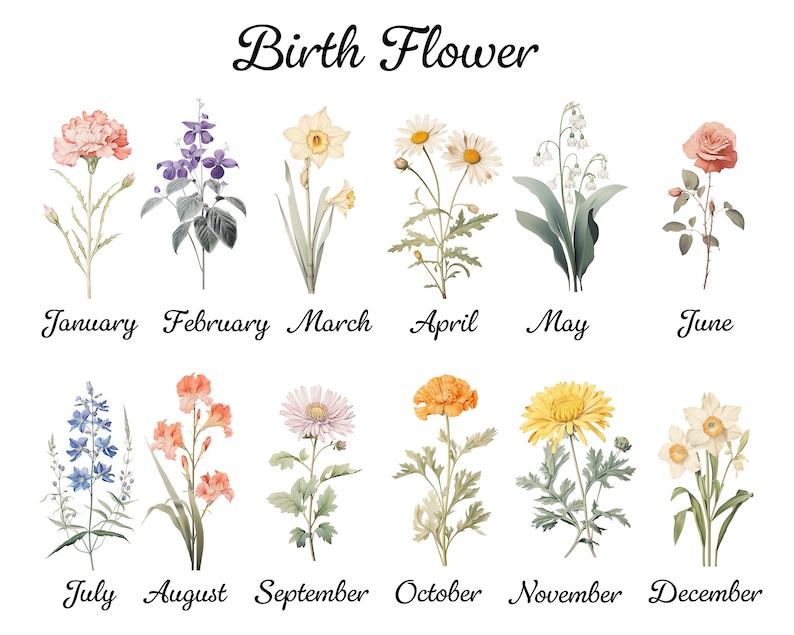 May include: A botanical illustration featuring twelve different birth flowers, each representing a month of the year. The flowers are depicted in watercolor style, with the month's name written below each flower. The text "Birth Flower" is at the top.