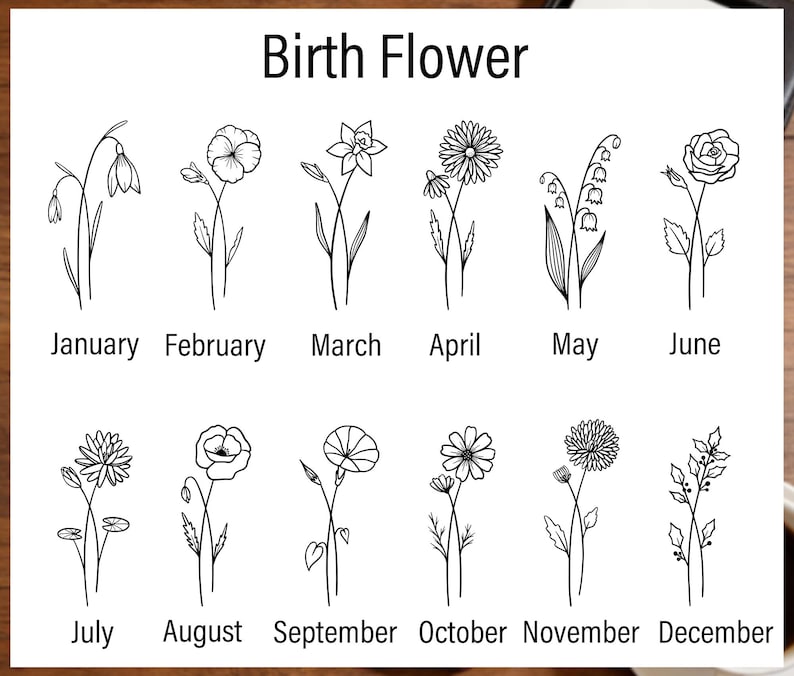 Puede incluir: Ilustraci&oacute;n en blanco y negro de las flores de nacimiento para cada mes del a&ntilde;o. Los meses est&aacute;n etiquetados debajo de cada flor, comenzando con enero y terminando con diciembre. El t&iacute;tulo "Birth Flower" est&aacute; en la parte superior de la imagen.